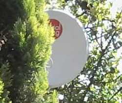 DStv Signal Obscured by Tree - Errors due to bad signal